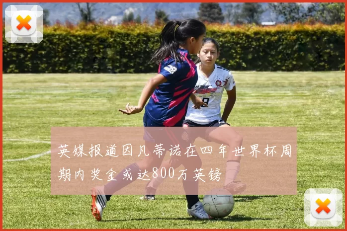 英媒报道因凡蒂诺在四年世界杯周期内奖金或达800万英镑
