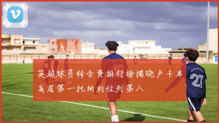 英超球员转会费排行榜揭晓卢卡库高居第一托纳利位列第八